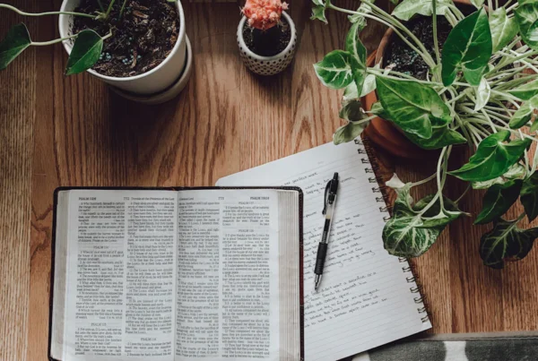 Bible verse breakdown